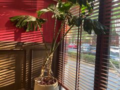 -阿莉餐厅(枣阳路店)