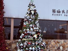 -南昌之星摩天轮