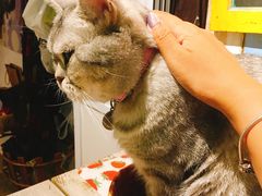 -小时光咖啡馆(开森度假森林店)
