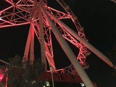 -墨尔本之星 观景摩天轮