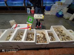 -渔人湾码头海鲜市场负二楼