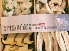 -巴蜀大将火锅(春熙店)