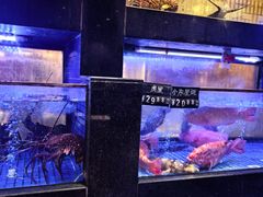 -丰鲤楼•闽南茶楼(仟禧汇店)