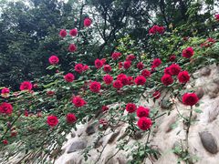 -西南交通大学(峨眉校区)