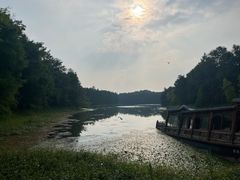 -上海海湾国家森林公园