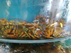-渔中舟海鲜大排档(普陀沈家门店)