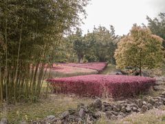 -福建鲤鱼洲酒店