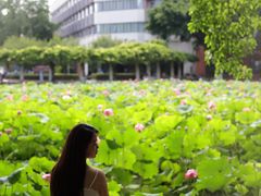-西南交通大学(九里校区)