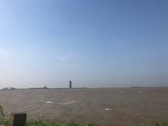 -吴淞炮台湾湿地森林公园烧烤区