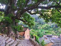 -杨家堂村