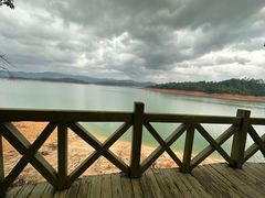 -广州市流溪河国家森林公园