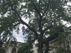 -广元唐家河嘉怡客栈