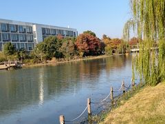 -海事大学图书馆(临港校区)