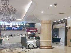 -北京广安门维景国际大酒店