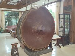 -庐山天沐温泉度假村