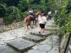 -雁门关景区