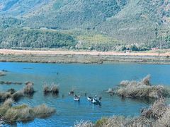 -腾冲北海湿地