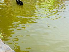 -合肥野生动物园