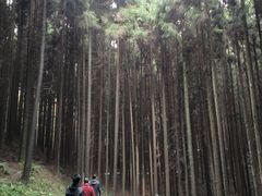 -山王坪喀斯特国家生态公园