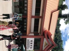 -西双版纳原始森林公园