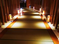-重庆南山海昌汤都