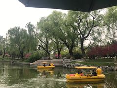-万柳阁小馆·花园餐厅(龙潭湖店)