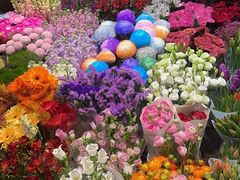 -双季花艺园艺市场(浦东店)