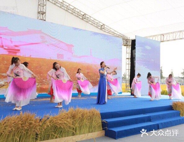 刚巧有开廉节，有几个演出。估计下周之后稻子都没了吧…