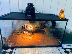 -Rabbit Cafe私房西餐甜点咖啡(栖霞路店)