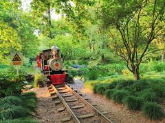 -上海共青森林公园