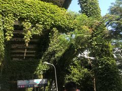 -国际邮轮中心码头(厦鼓码头)