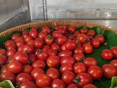 -姜胖胖无限自助烤肉(弹子石店)