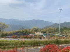 -江南天池