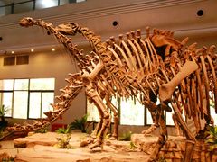 -自贡恐龙博物馆