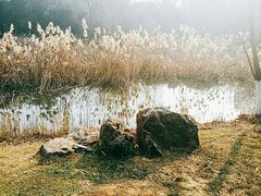 -天鹅湖体育公园