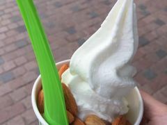 -Salud撒露欧洲冻酸奶(蓝色港湾店)