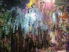 -正佳雨林生态植物园