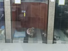 -联合动物医院(光谷诊疗中心)