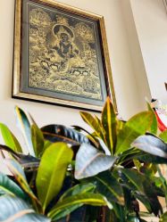 -YesYoga瑜伽普拉提塑形体雕馆