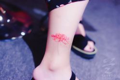 -见雾TATTOO STUDIO