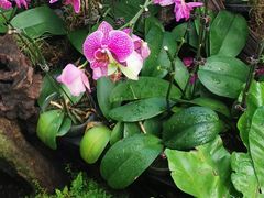 -北京植物园-展览温室