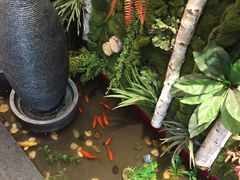 -小牛海记潮汕牛肉店(永定路店)