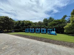 -上海滨江森林公园