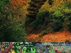 -北京西山国家森林公园