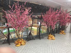 -大都激光IMAX影院
