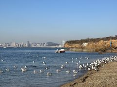 -银沙滩浴场