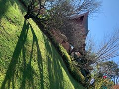 -七彩云南古滇温泉山庄