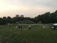 -长白岛森林公园