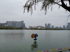 -天鹅湖体育公园