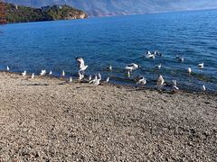 -丽江泸沽湖景区